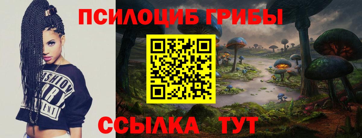 Краснодар  Псилоцибиновые грибы MAGIC MUSHROOMS  купить   Вход с VPN 